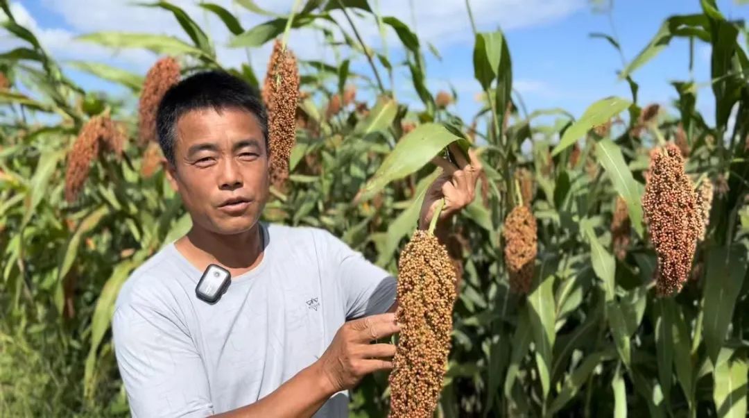 奔驰软件登录访问网络不对